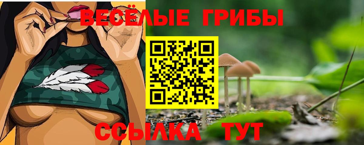 Галлюциногенные грибы Psilocybine cubensis Нижний Тагил
